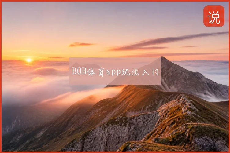 BOB体育app玩法入门